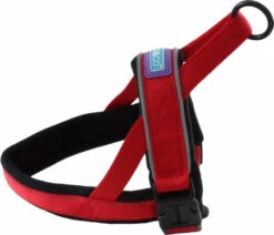 Hem & Boo Reflective Padded Harness Red