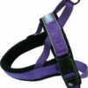 Hem & Boo Reflective Padded Harness Purple -PetJoy Shop 0000142 reflective padded harness 550