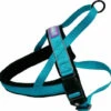 Hem & Boo Reflective Padded Harness Aqua -PetJoy Shop 0000144 reflective padded harness 550