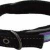 Hem & Boo Reflective Padded Collar Black -PetJoy Shop 0000256 reflective padded dog collar 550