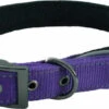 Hem & Boo Reflective Padded Collar Purple -PetJoy Shop 0000259 reflective padded dog collar 550