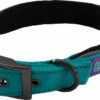 Hem & Boo Reflective Padded Collar Aqua -PetJoy Shop 0000260 reflective padded dog collar 550