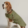 Joules Water Resistant Raincoat Olive Bee Print -PetJoy Shop 05585055860558705588LS2