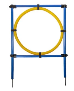 Pet Brands Dog Agility Hoop Jump -PetJoy Shop 10482c agilityhoopjump assembled