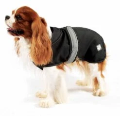 Danish Design 2 In 1 Black Four Seasons Waterproof Performance Dog Coat -PetJoy Shop 1231021854 BlackwithDog