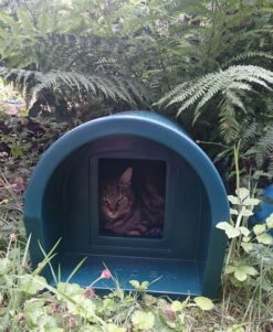 Mr Snugs KatDen Outdoor Cat Kennel/Shelter - Dark Green (Various Options) -PetJoy Shop 1231022046green katden