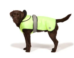Danish Design 2 In 1 Hi Vis Waterproof Four Seasons Performance Dog Coat -PetJoy Shop 1231024600 Hi ViswithDog