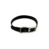 Great&Small Classic Buckle Collar Black