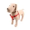 Great&Small Classic Plain Harness Red 2 Great&Small Classic Plain Harness Red -PetJoy Shop 15432GG02