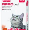 Beaphar Fiprotec Spot On Cat Flea & Tick Treatment (6 X Treatments) 1 Beaphar Fiprotec Spot On Cat Flea & Tick Treatment (6 X Treatments) -PetJoy Shop 156792018