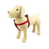 Great&Small Active Neoprene Harness Red -PetJoy Shop 15695