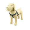 Great&Small Active Neoprene Harness Grey -PetJoy Shop 15696