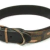 Vital Pet Products Leather Collar Combat 1 Vital Pet Products Leather Collar Combat -PetJoy Shop 17340