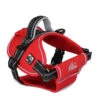 Ancol Extreme Dog Harness Red -PetJoy Shop 184720 2