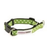 Great&Small Doodley Dogs Green Ribbon Collar -PetJoy Shop 210398