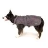 Great&Small Raincoat Grey/Purple -PetJoy Shop 210755