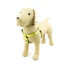 Great&Small Glow Hi-Vis Harness Yellow 2 Great&Small Glow Hi-Vis Harness Yellow -PetJoy Shop 210869