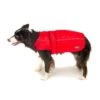 Great&Small Sports Coat Red -PetJoy Shop 211102