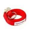Great&Small Doodley Dogs Plain Nylon Lead Red -PetJoy Shop 211850