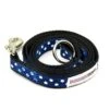 Great&Small Doodley Dogs Ribbon Nylon Lead Blue -PetJoy Shop 211856