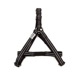 Great&Small Glow Harness Black