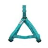 Great&Small Glow Harness Turquoise -PetJoy Shop 212303