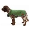 Great&Small Country Quilted Coat Plaid/Green -PetJoy Shop 212445