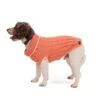 Great&Small Penrose Knit Sweater Peach With Cream Trim -PetJoy Shop 212540dog