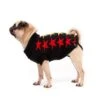 Great&Small Penrose Knitted Sweater Black With Triple Stars 2 Great&Small Penrose Knitted Sweater Black With Triple Stars -PetJoy Shop 2126973web