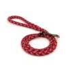 Great&Small Glow Lead Plait Red 1 Great&Small Glow Lead Plait Red -PetJoy Shop 212878 web