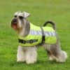 Petlife Flecta Yellow Hi Vis Water-Resistant Dog Jacket -PetJoy Shop 24556