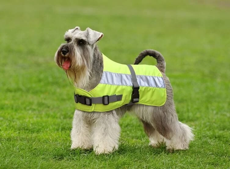 Petlife Flecta Yellow Hi Vis Water-Resistant Dog Jacket 3 Petlife Flecta Yellow Hi Vis Water-Resistant Dog Jacket