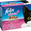 Felix Pouch Kitten Fish & Meat Selection In Jelly 1 Felix Pouch Kitten Fish & Meat Selection In Jelly -PetJoy Shop 24646