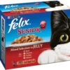 Felix Pouch Senior Selection In Jelly