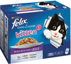 Felix Pouch As Good As It Looks Kitten Mixed Selection In Jelly