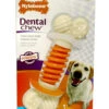 Nylabone Pro Action Dental Bone 2 Nylabone Pro Action Dental Bone -PetJoy Shop 25383