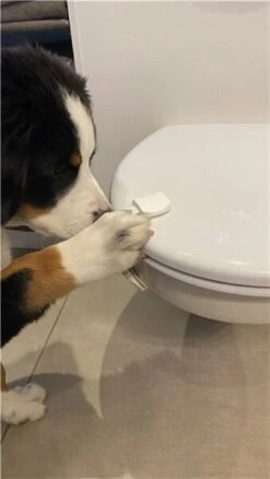 DogSpace Puppy Proofing Starter Kit -PetJoy Shop 2540 9 6 m2 28600x60029