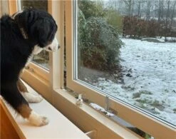 DogSpace Puppy Proofing Starter Kit -PetJoy Shop 2540 9 6 m3 28600x60029