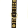 Rosewood Leather Bull Terrier Collar Deluxe Dome Studded Black 22 X 1 1/4" -PetJoy Shop 29068
