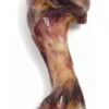 18 X Rosewood Serrano Ham Bone Large -PetJoy Shop 29569