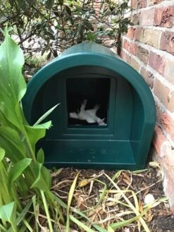 Mr Snugs KatDen Outdoor Cat Kennel/Shelter - Dark Green (Various Options) -PetJoy Shop 29CCBEE4 E6E5 4D6C 9B5D 9D74E7A68C63