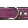 Nobby Double Back Swarovski Crystal Collar Lilac 1 Nobby Double Back Swarovski Crystal Collar Lilac -PetJoy Shop 40242