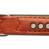 Nobby Double Back Swarovski Crystal Collar Terracotta -PetJoy Shop 40249