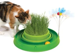Catit Play Circuit Ball Toy With Grass Green -PetJoy Shop 43002 circuit ball toy cat grass heroshot