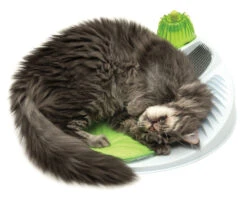 Catit Senses 2.0 Wellness Centre 11 Catit Senses 2.0 Wellness Centre -PetJoy Shop 43153 catit senses wellness center with cat 01