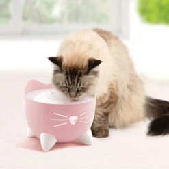 Catit Pixi Cat Water Fountain Light Pink -PetJoy Shop 43716 catit pixi fountain pink lifestyle