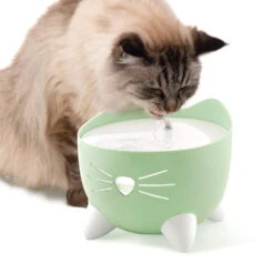 Catit Pixi Cat Water Fountain Mint Green -PetJoy Shop 43718 catit pixi fountain green cat drinking 1