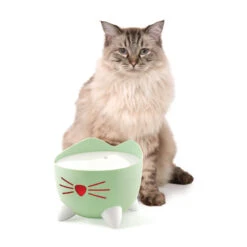 Catit Pixi Cat Water Fountain Mint Green -PetJoy Shop 43718 catit pixi fountain green no water with cat 1