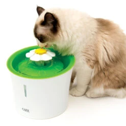 Catit 2.0 Flower Cat Water Fountain 3L -PetJoy Shop 43742 flower fountain heroshot