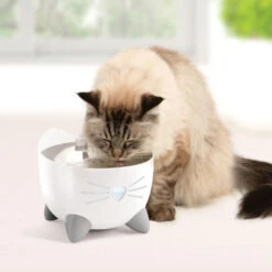 Catit Pixi Smart Fountain -PetJoy Shop 43751 catit pixi smart fountain lifestyle